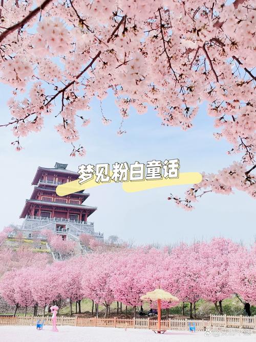 樱花12E79,一场跨越时空的科技盛宴 网站建设公司 樱花12E79,一场跨越时空的科技盛宴 樱花12E79,一场跨越时空的科技盛宴 网站建设公司