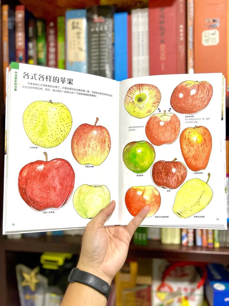 水果编程,探索数字世界中的甜美果实 必应SEO 水果编程,探索数字世界中的甜美果实 水果编程,探索数字世界中的甜美果实 必应SEO