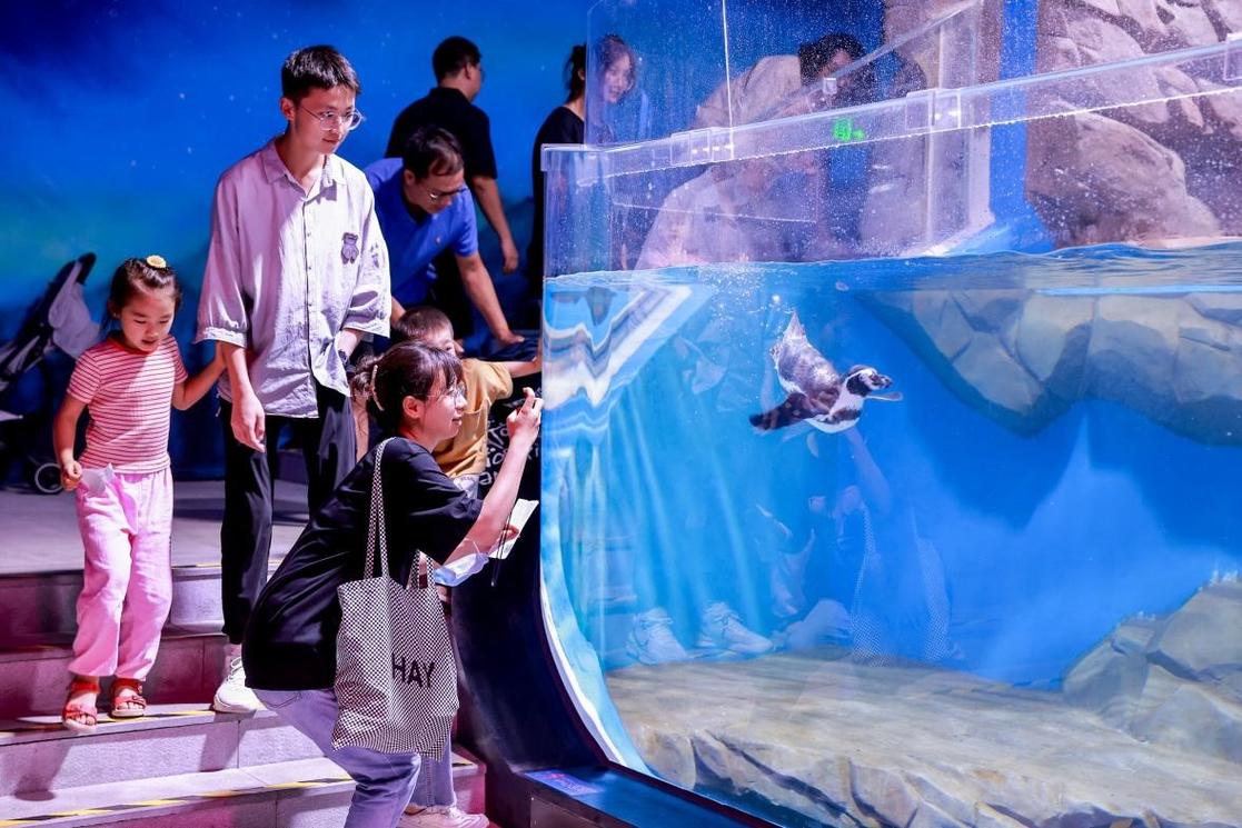 海台湾,打造沉浸式海洋文化体验,引领旅游新风尚 必应SEO 海台湾,打造沉浸式海洋文化体验,引领旅游新风尚 海台湾,打造沉浸式海洋文化体验,引领旅游新风尚 必应SEO