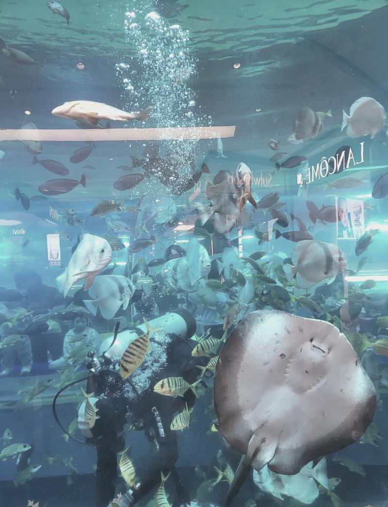 海洋网站建设,介绍海洋资源宝藏的关键钥匙 必应SEO 海洋网站建设,介绍海洋资源宝藏的关键钥匙 海洋网站建设,介绍海洋资源宝藏的关键钥匙 必应SEO