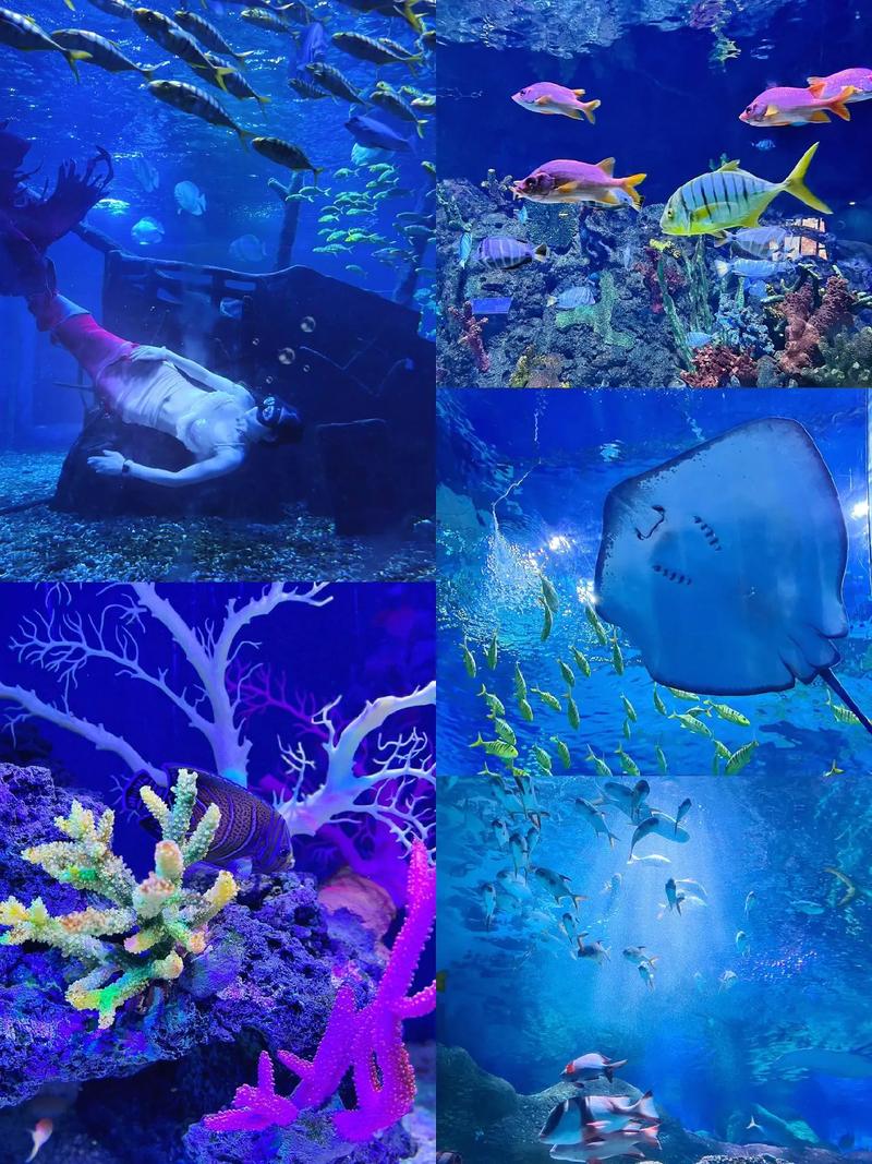 海网站制作建设,介绍海洋信息时代的“蓝色引擎” 搜狗SEO 海网站制作建设,介绍海洋信息时代的“蓝色引擎” 海网站制作建设,介绍海洋信息时代的“蓝色引擎” 搜狗SEO