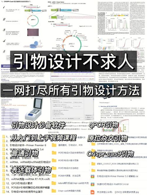 游引物设计网站,助力科研探索,介绍生命奥秘 搜狗SEO 游引物设计网站,助力科研探索,介绍生命奥秘 游引物设计网站,助力科研探索,介绍生命奥秘 搜狗SEO