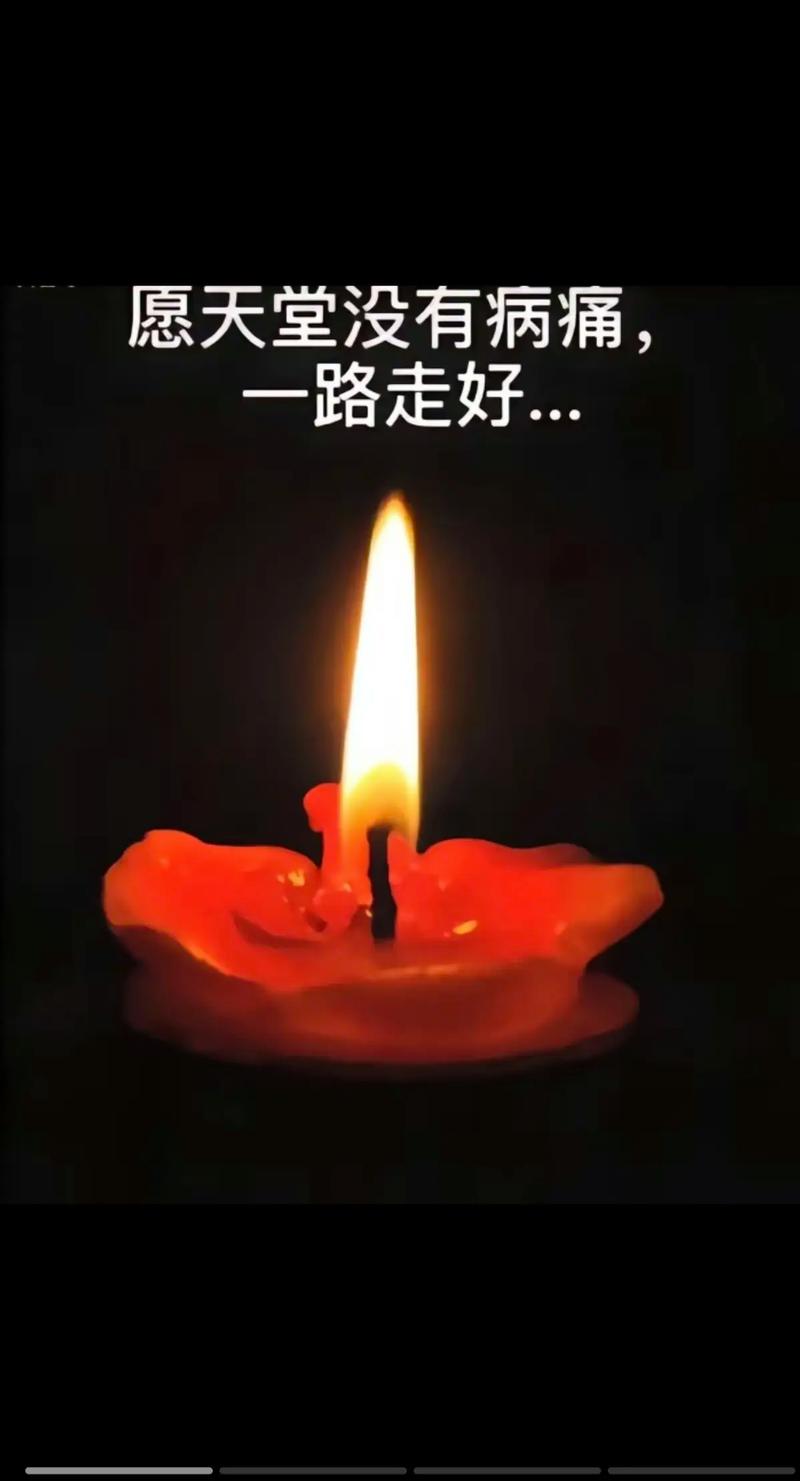 照亮创意之光,探索灯设计素材网站的奥秘 必应SEO 照亮创意之光,探索灯设计素材网站的奥秘 照亮创意之光,探索灯设计素材网站的奥秘 必应SEO