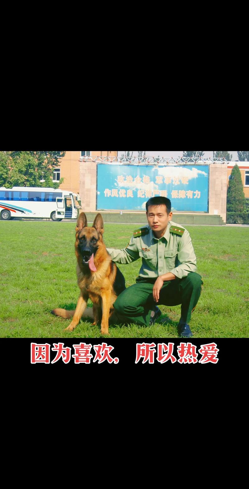 狗_人类忠实伙伴,引领网站设计潮流 神马SEO 狗_人类忠实伙伴,引领网站设计潮流 狗_人类忠实伙伴,引领网站设计潮流 神马SEO