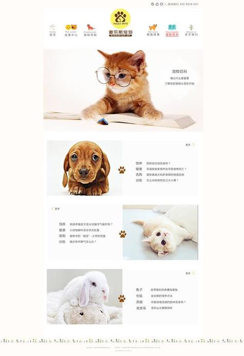 猫咪网站设计,打造萌宠生活新体验 必应SEO 猫咪网站设计,打造萌宠生活新体验 猫咪网站设计,打造萌宠生活新体验 必应SEO