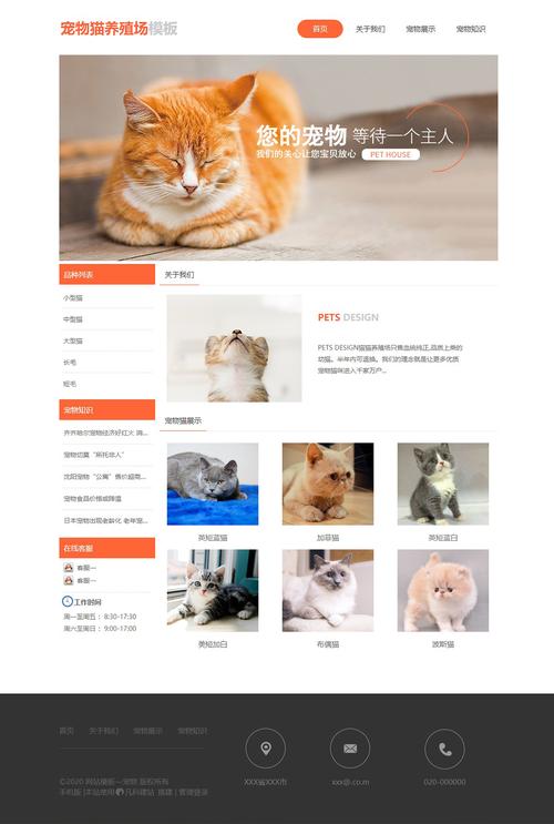 猫咪网站设计,打造宠物爱好者心中的梦想家园 神马SEO 猫咪网站设计,打造宠物爱好者心中的梦想家园 猫咪网站设计,打造宠物爱好者心中的梦想家园 神马SEO