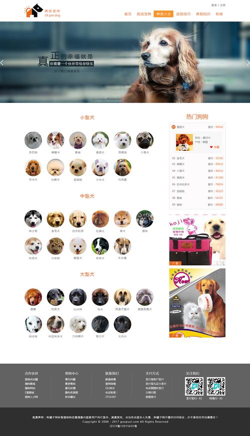 电视狗网站,打造个性化娱乐体验的新平台 百度SEO 电视狗网站,打造个性化娱乐体验的新平台 电视狗网站,打造个性化娱乐体验的新平台 百度SEO