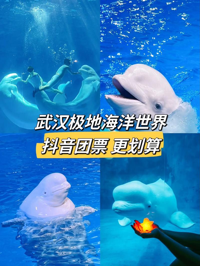 畅游网络海洋,手机能看的网站,带你领略数字化世界的魅力 百度SEO 畅游网络海洋,手机能看的网站,带你领略数字化世界的魅力 畅游网络海洋,手机能看的网站,带你领略数字化世界的魅力 百度SEO