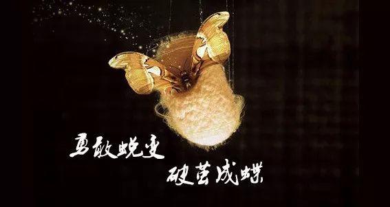 破茧成蝶_基于in图设计的网站,引领视觉革命 必应SEO 破茧成蝶_基于in图设计的网站,引领视觉革命 破茧成蝶_基于in图设计的网站,引领视觉革命 必应SEO