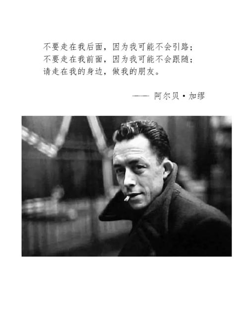 程序代码exe,介绍软件的灵魂与魅力 神马SEO 程序代码exe,介绍软件的灵魂与魅力 程序代码exe,介绍软件的灵魂与魅力 神马SEO