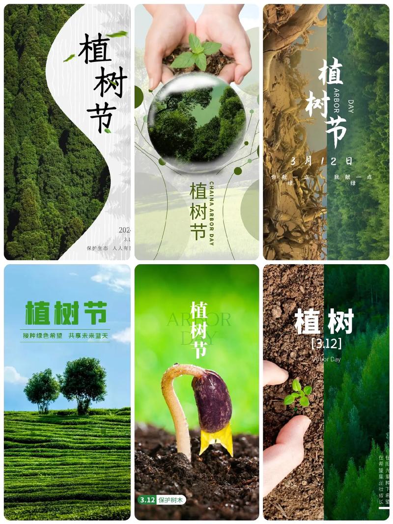 绿色未来,从植树节开始_打造植树节主题网站的意义与价值 SEO关键词 绿色未来,从植树节开始_打造植树节主题网站的意义与价值 绿色未来,从植树节开始_打造植树节主题网站的意义与价值 SEO关键词