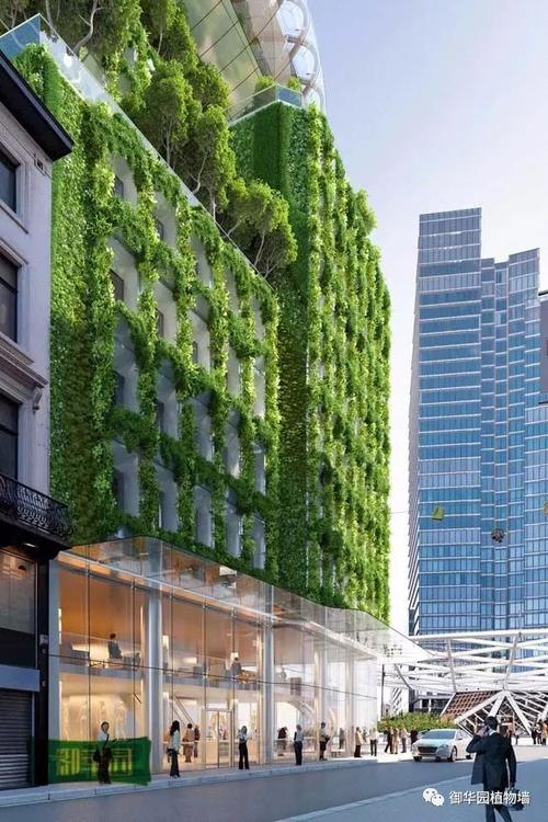 绿色魅力,植物设计在现代生活空间的巧思布局 网站建设公司 绿色魅力,植物设计在现代生活空间的巧思布局 绿色魅力,植物设计在现代生活空间的巧思布局 网站建设公司
