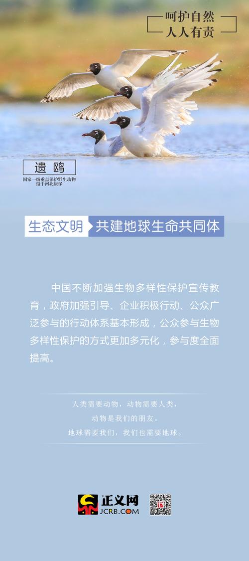网站栏目维护,守护内容生态的守护神 神马SEO 网站栏目维护,守护内容生态的守护神 网站栏目维护,守护内容生态的守护神 神马SEO