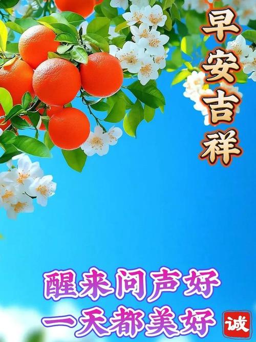 网站祝福语,传递温暖,点亮网络生活 百度SEO 网站祝福语,传递温暖,点亮网络生活 网站祝福语,传递温暖,点亮网络生活 百度SEO