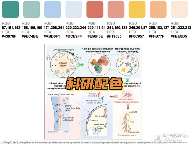 色彩的力量,介绍人网站配色设计的艺术与科学 神马SEO 色彩的力量,介绍人网站配色设计的艺术与科学 色彩的力量,介绍人网站配色设计的艺术与科学 神马SEO