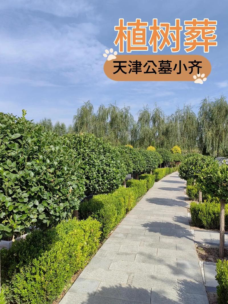 苗木网站设计,打造绿色生态信息平台的关键要素 网站建设公司 苗木网站设计,打造绿色生态信息平台的关键要素 苗木网站设计,打造绿色生态信息平台的关键要素 网站建设公司
