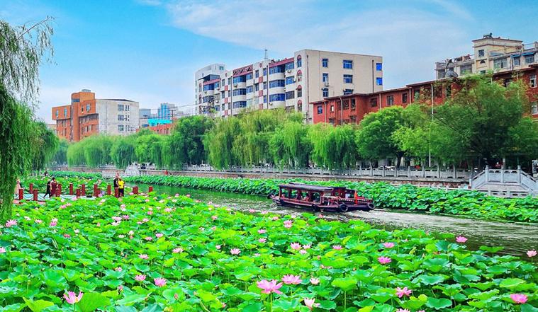 莲湖区,古老与现代交织的繁华之地 神马SEO 莲湖区,古老与现代交织的繁华之地 莲湖区,古老与现代交织的繁华之地 神马SEO