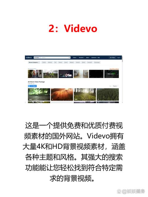 视频素材库,数字时代内容创作的得力助手 网站建设公司 视频素材库,数字时代内容创作的得力助手 视频素材库,数字时代内容创作的得力助手 网站建设公司