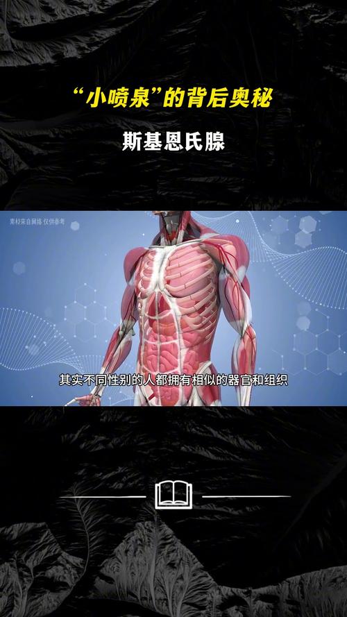解码扫码前的程序代码,介绍背后的技术奥秘 搜狗SEO 解码扫码前的程序代码,介绍背后的技术奥秘 解码扫码前的程序代码,介绍背后的技术奥秘 搜狗SEO