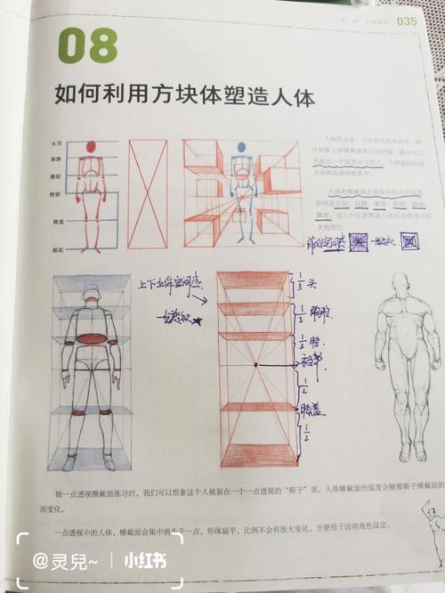 设计师人体网站,介绍人体设计背后的科学奥秘 神马SEO 设计师人体网站,介绍人体设计背后的科学奥秘 设计师人体网站,介绍人体设计背后的科学奥秘 神马SEO