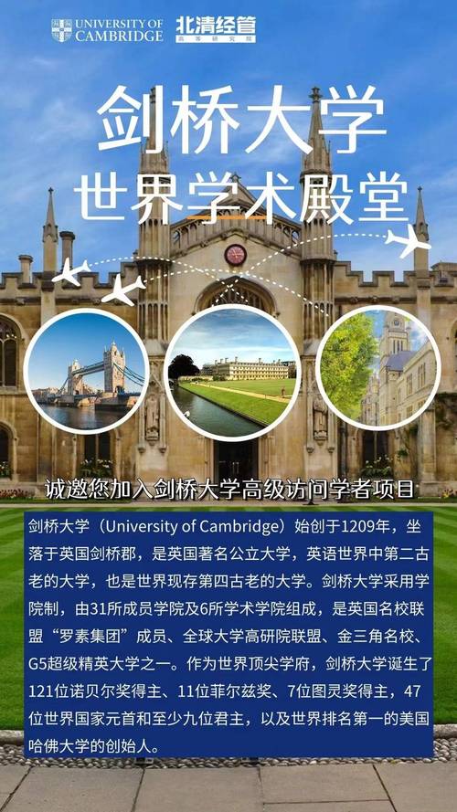 设计师翻译网站,跨文化交流的桥梁 网站建设公司 设计师翻译网站,跨文化交流的桥梁 设计师翻译网站,跨文化交流的桥梁 网站建设公司