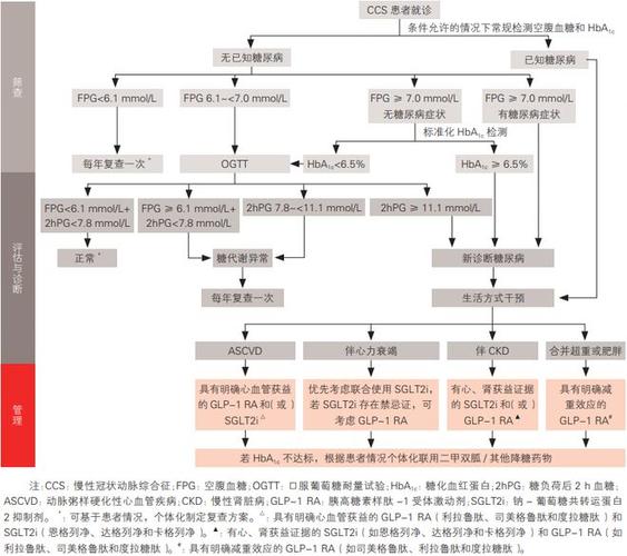 详细分析CCS程序,编码之美与安全之路 SEO关键词 详细分析CCS程序,编码之美与安全之路 详细分析CCS程序,编码之美与安全之路 SEO关键词