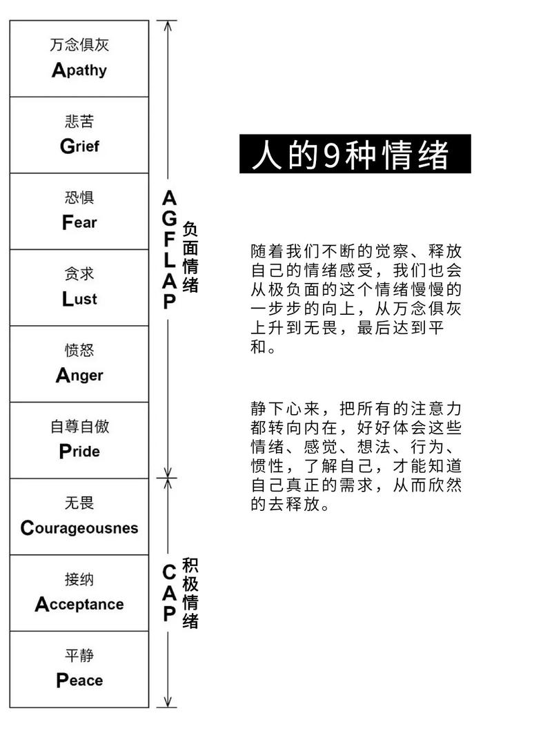 贬义的力量,剖析社会现象背后的负面情绪 网站建设公司 贬义的力量,剖析社会现象背后的负面情绪 贬义的力量,剖析社会现象背后的负面情绪 网站建设公司