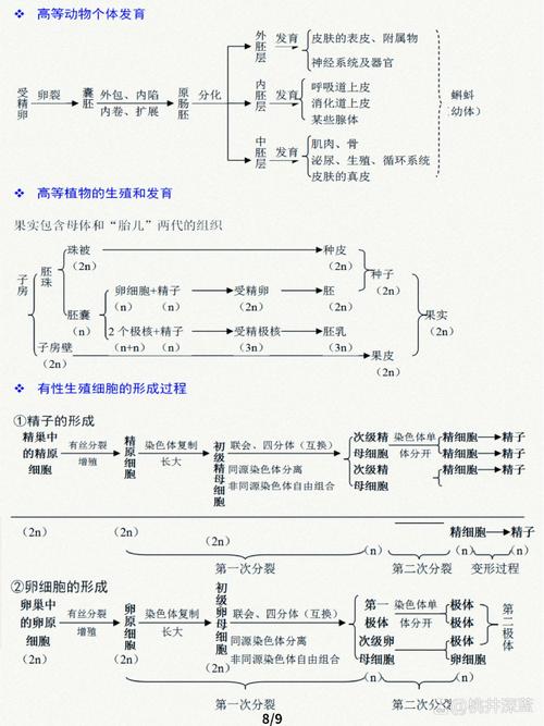 遗传程序,介绍生命的奥秘与未来医学的曙光 SEO关键词 遗传程序,介绍生命的奥秘与未来医学的曙光 遗传程序,介绍生命的奥秘与未来医学的曙光 SEO关键词