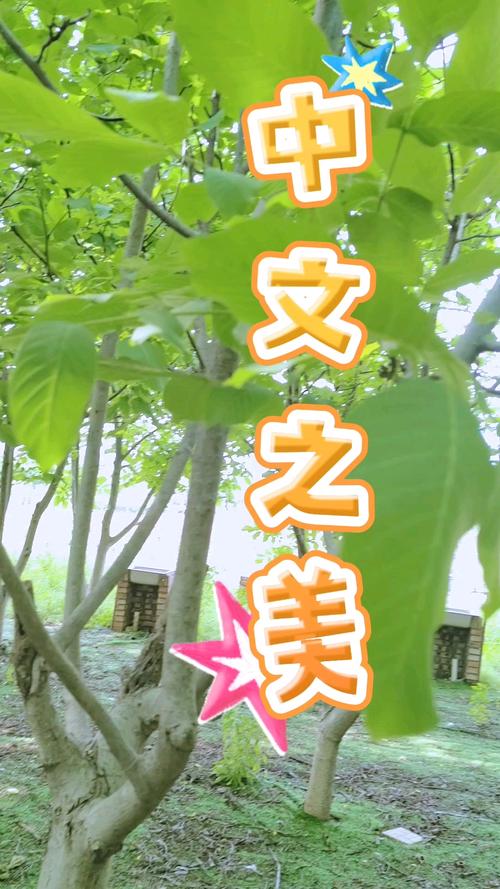 配图之美,设计网站的灵魂之窗 配图之美,设计网站的灵魂之窗 百度SEO