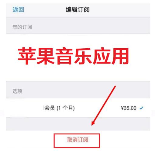音乐网站搭建,打造个性化音乐体验的数字乐园 神马SEO 音乐网站搭建,打造个性化音乐体验的数字乐园 音乐网站搭建,打造个性化音乐体验的数字乐园 神马SEO