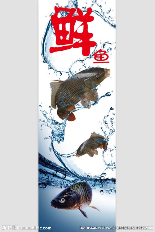 鱼海报设计网站,创意设计的新起点 鱼海报设计网站,创意设计的新起点 网站建设公司