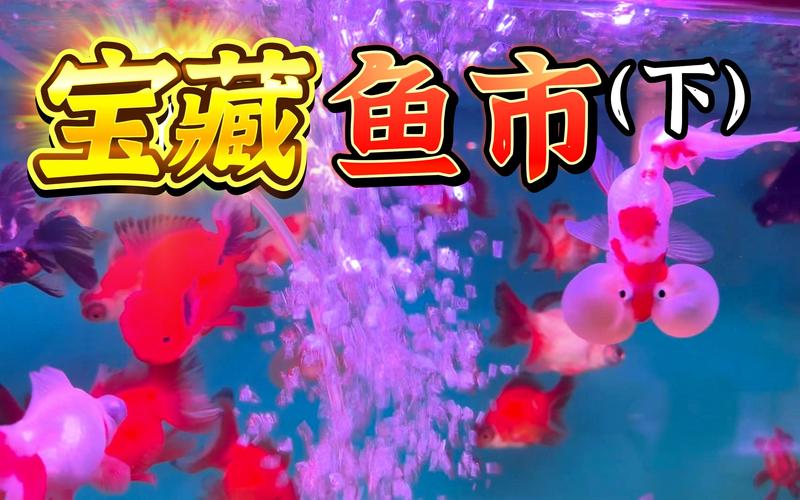 鱼课件设计网站,创新教育资源的宝藏库 百度SEO 鱼课件设计网站,创新教育资源的宝藏库 鱼课件设计网站,创新教育资源的宝藏库 百度SEO