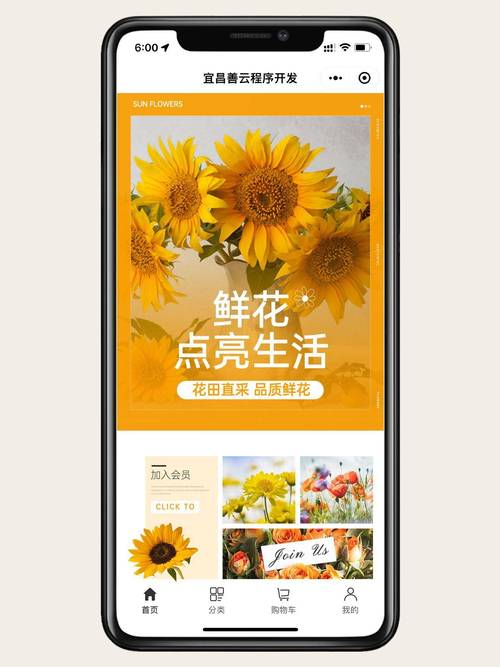 鲜花网,创新电商模式,让美好触手可及 SEO关键词 鲜花网,创新电商模式,让美好触手可及 鲜花网,创新电商模式,让美好触手可及 SEO关键词
