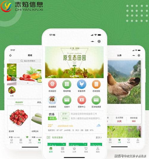 鸭梨小程序,技术赋能下的生活便利新篇章 百度SEO 鸭梨小程序,技术赋能下的生活便利新篇章 鸭梨小程序,技术赋能下的生活便利新篇章 百度SEO