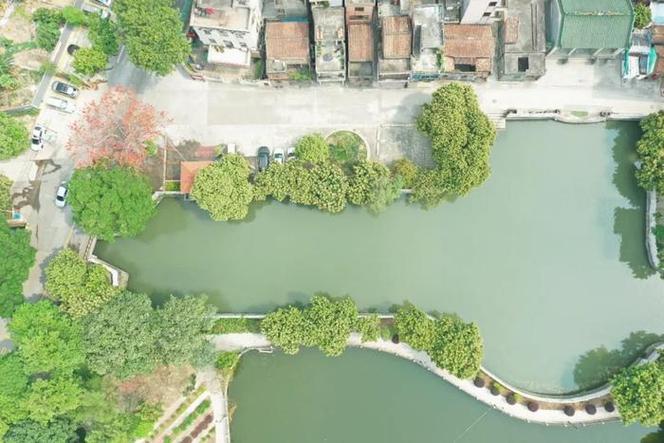 麻涌镇,历史文化与现代活力的完美融合 网站建设公司 麻涌镇,历史文化与现代活力的完美融合 麻涌镇,历史文化与现代活力的完美融合 网站建设公司