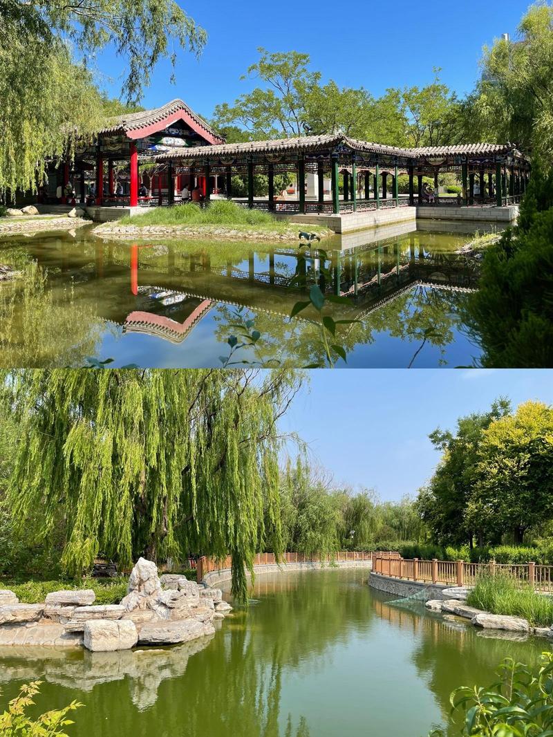 黄骅市,绿色发展的先行者,魅力城市的典范 百度SEO 黄骅市,绿色发展的先行者,魅力城市的典范 黄骅市,绿色发展的先行者,魅力城市的典范 百度SEO
