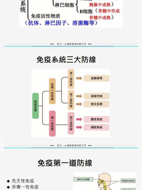 H1N1流感病毒变异,关注H1N1.5Og,共筑免疫防线 SEO关键词 H1N1流感病毒变异,关注H1N1.5Og,共筑免疫防线 H1N1流感病毒变异,关注H1N1.5Og,共筑免疫防线 SEO关键词