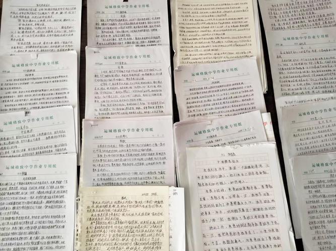 作业纸设计网站,创新教育助力未来人才培养 神马SEO 作业纸设计网站,创新教育助力未来人才培养 作业纸设计网站,创新教育助力未来人才培养 神马SEO