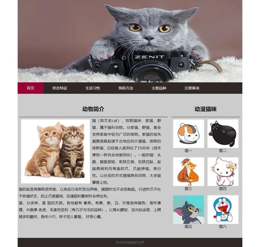 创作猫设计网站,艺术灵感与创新工坊的完美融合 百度SEO 创作猫设计网站,艺术灵感与创新工坊的完美融合 创作猫设计网站,艺术灵感与创新工坊的完美融合 百度SEO