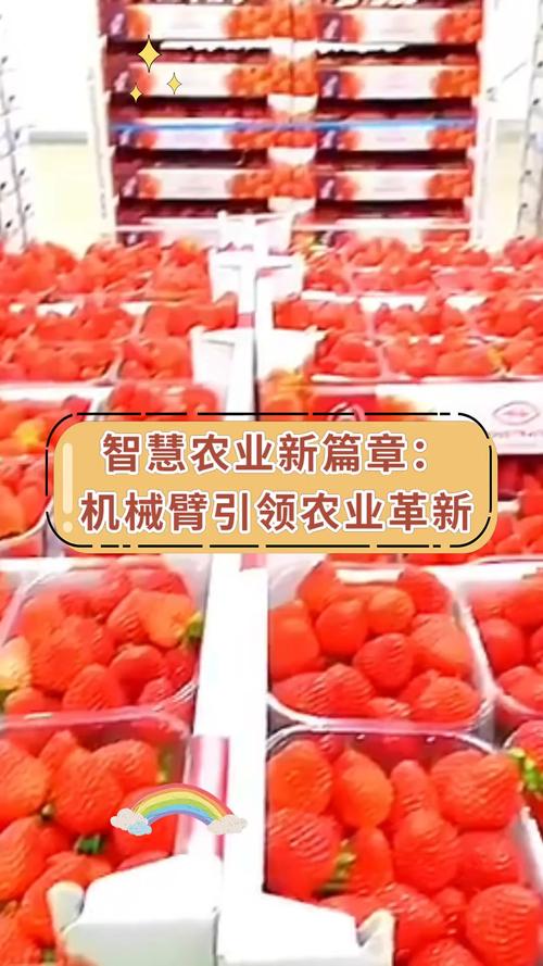 抛投器程序,智能农业的革新之匙 神马SEO 抛投器程序,智能农业的革新之匙 抛投器程序,智能农业的革新之匙 神马SEO