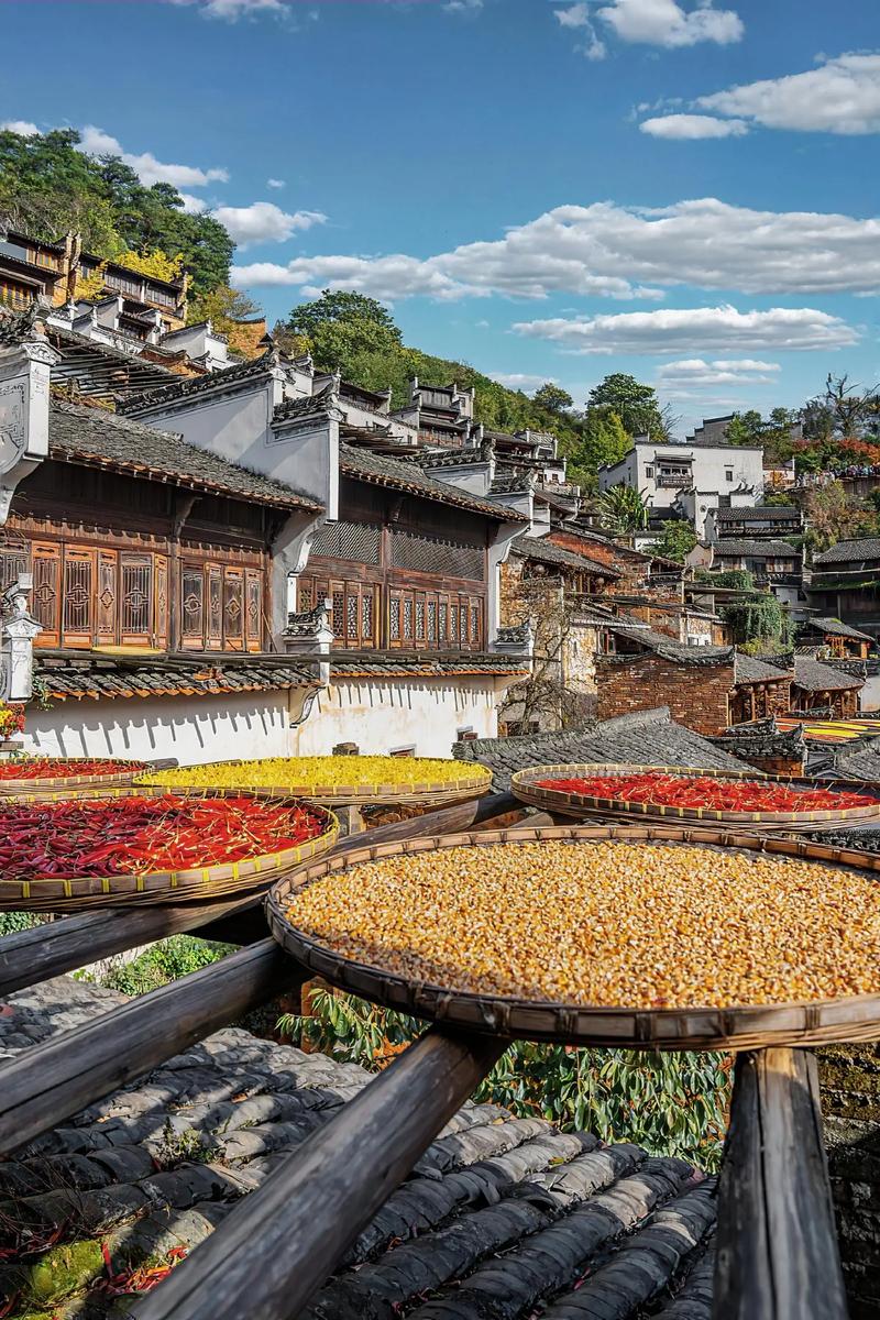 探寻婺源,古韵小镇的时光之旅 必应SEO 探寻婺源,古韵小镇的时光之旅 探寻婺源,古韵小镇的时光之旅 必应SEO