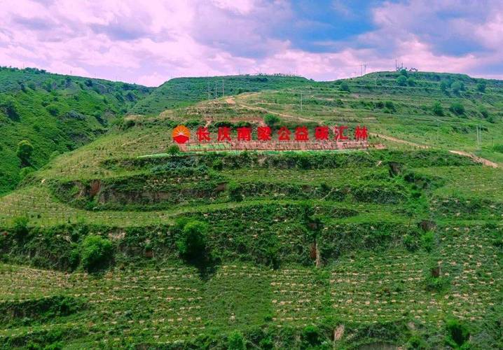 矿山设计,匠心独运，构建绿色矿山新篇章 矿山设计,匠心独运，构建绿色矿山新篇章 SEO关键词