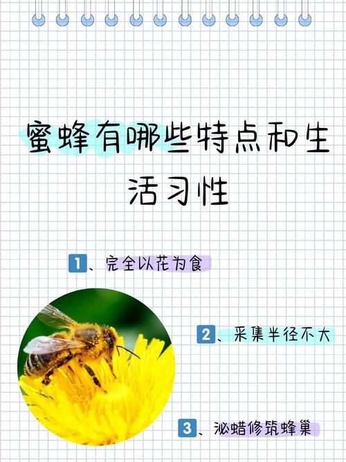 叶草77124,探索自然界的神奇魅力 搜狗SEO 叶草77124,探索自然界的神奇魅力 叶草77124,探索自然界的神奇魅力 搜狗SEO