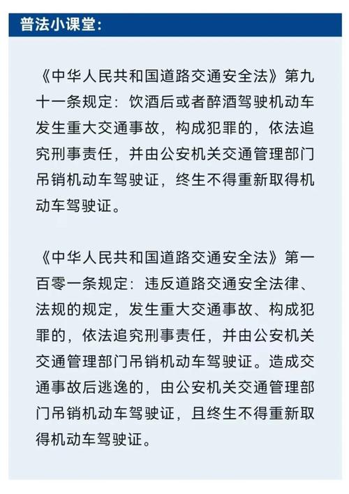 1358处罚代码,解读我国道路交通安全违法行为的严肃警示 百度SEO 1358处罚代码,解读我国道路交通安全违法行为的严肃警示 1358处罚代码,解读我国道路交通安全违法行为的严肃警示 百度SEO