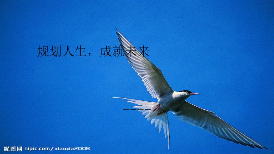 JA人生规划,引领未来,塑造卓越人生 神马SEO JA人生规划,引领未来,塑造卓越人生 JA人生规划,引领未来,塑造卓越人生 神马SEO