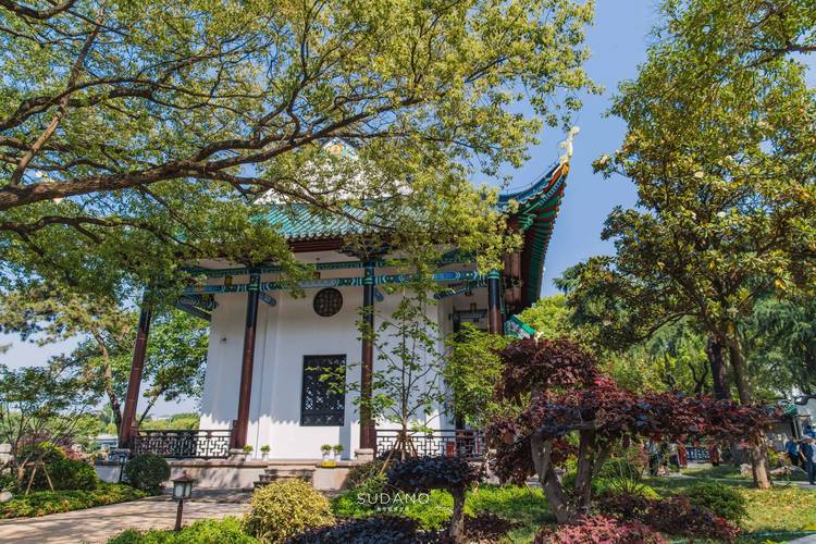 一级学科代码10,探索人文社会科学的无限魅力 网站建设公司 一级学科代码10,探索人文社会科学的无限魅力 一级学科代码10,探索人文社会科学的无限魅力 网站建设公司