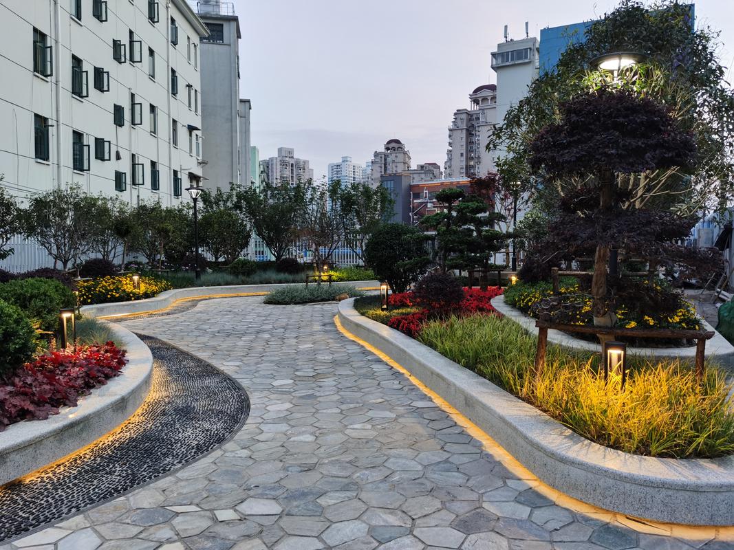 万兴街道,繁华都市中的绿色家园 百度SEO 万兴街道,繁华都市中的绿色家园 万兴街道,繁华都市中的绿色家园 百度SEO