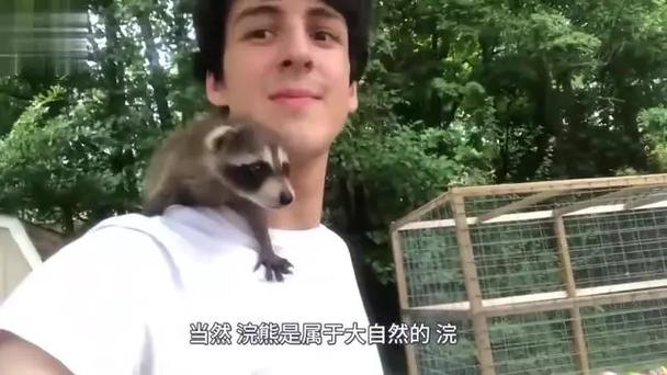 九只浣猫的奇迹,饥荒年代的温暖故事 百度SEO 九只浣猫的奇迹,饥荒年代的温暖故事 九只浣猫的奇迹,饥荒年代的温暖故事 百度SEO