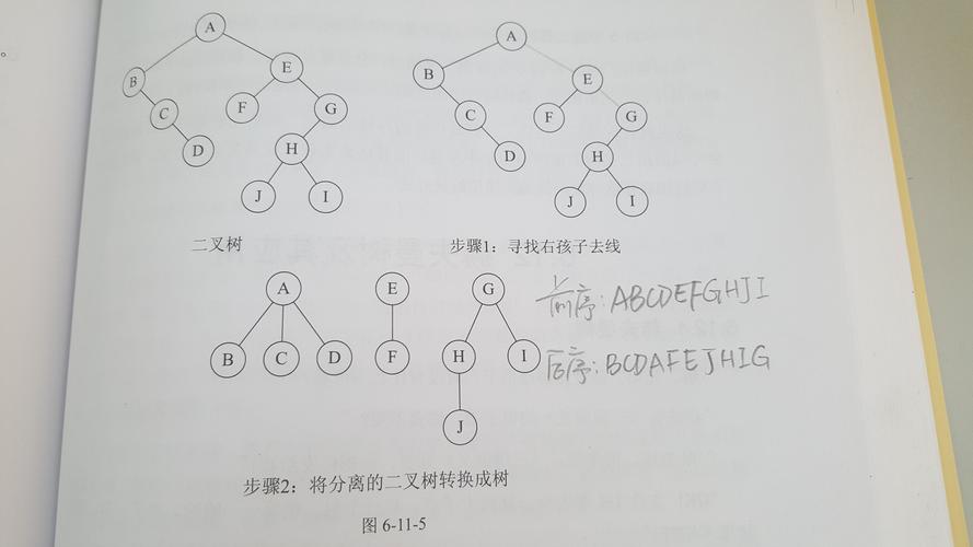 二叉树镜像算法分析,树的对称之美 神马SEO 二叉树镜像算法分析,树的对称之美 二叉树镜像算法分析,树的对称之美 神马SEO