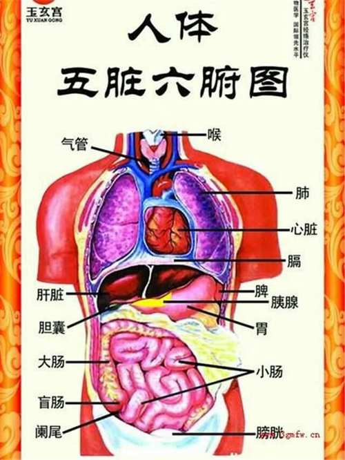 人体体块网站,介绍人体结构,助力健康生活 百度SEO 人体体块网站,介绍人体结构,助力健康生活 人体体块网站,介绍人体结构,助力健康生活 百度SEO